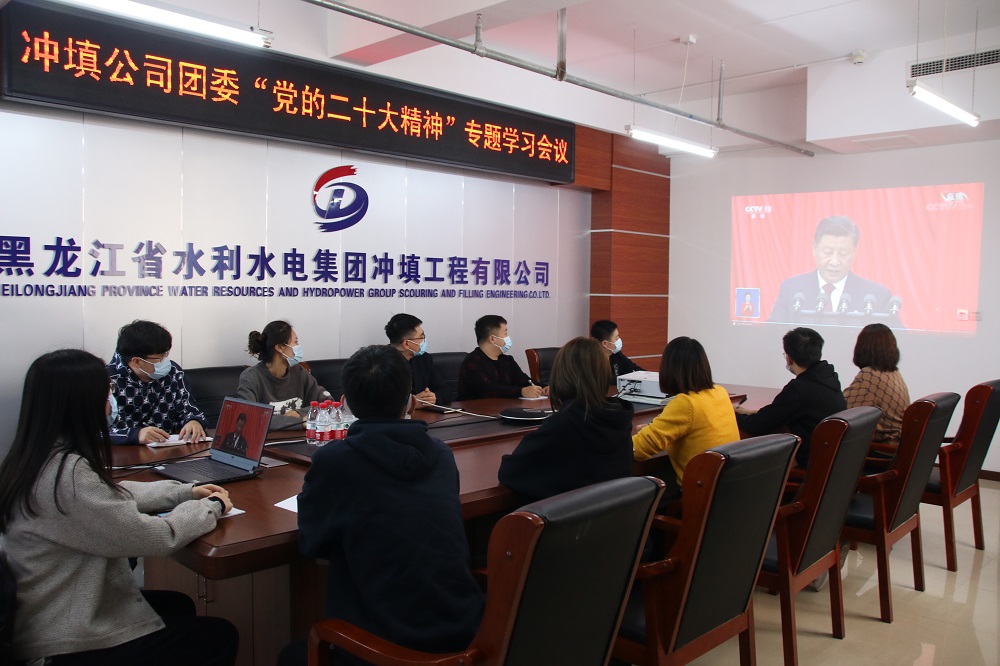 沖填公司團(tuán)委組織召開黨的二十大精神專題學(xué)習(xí)座談會議